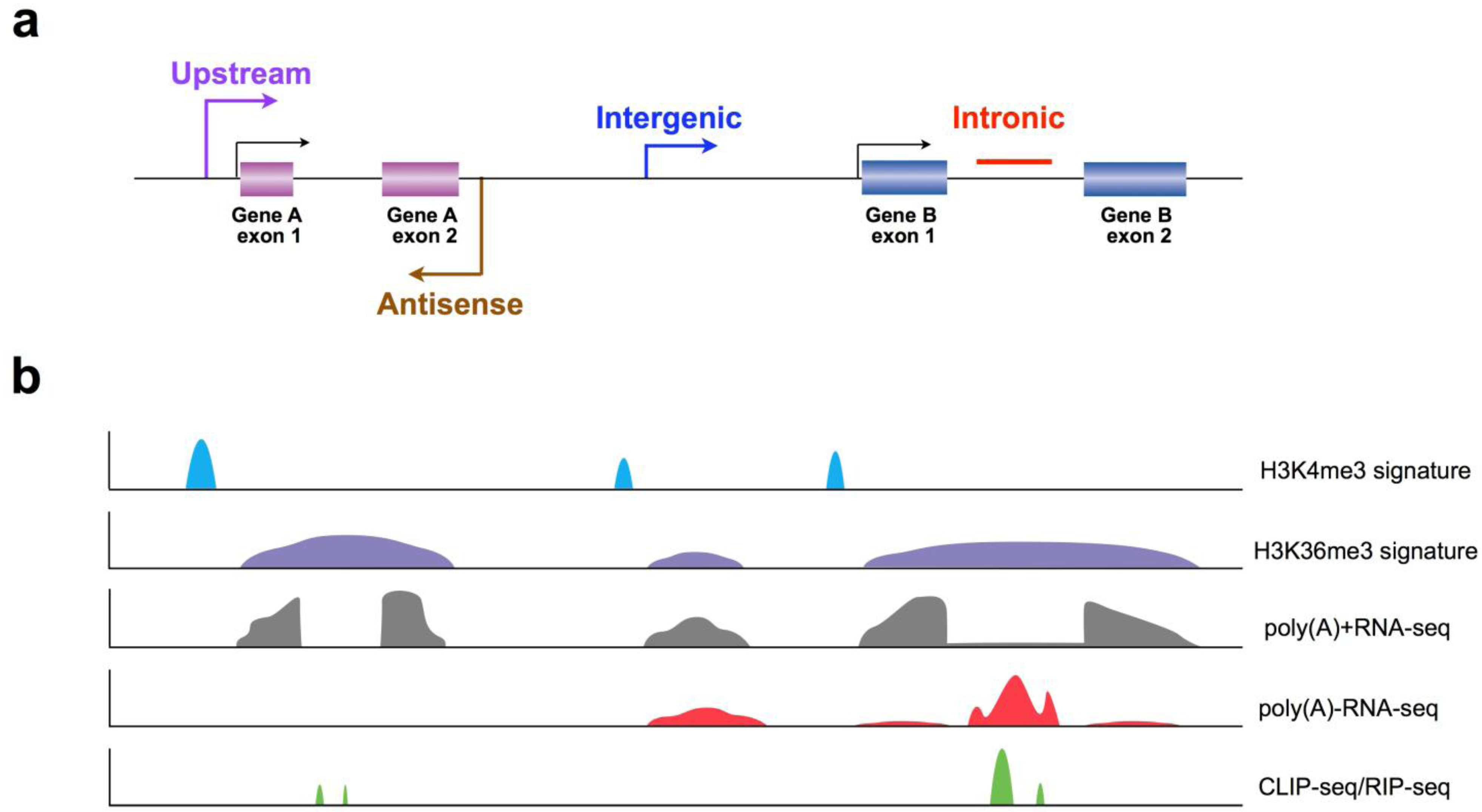 Biomolecules 03 00226 g001