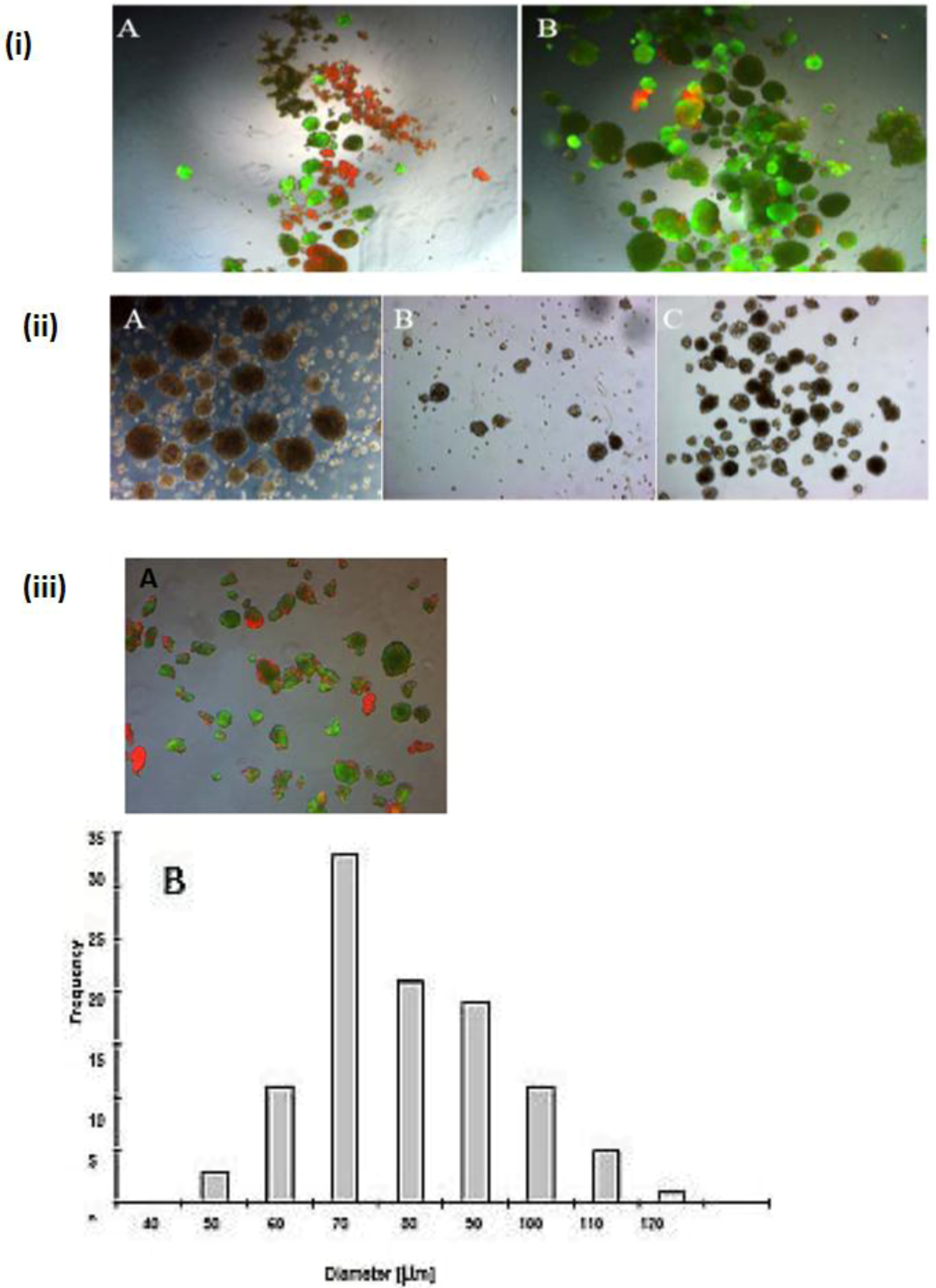 Biomolecules 03 00242 g006