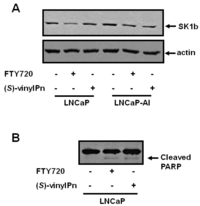 Biomolecules 03 00316 g002 200