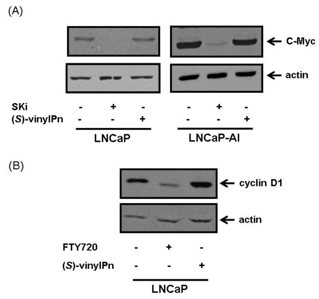 Biomolecules 03 00316 g003 1024
