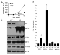 Biomolecules 03 00351 g002 200