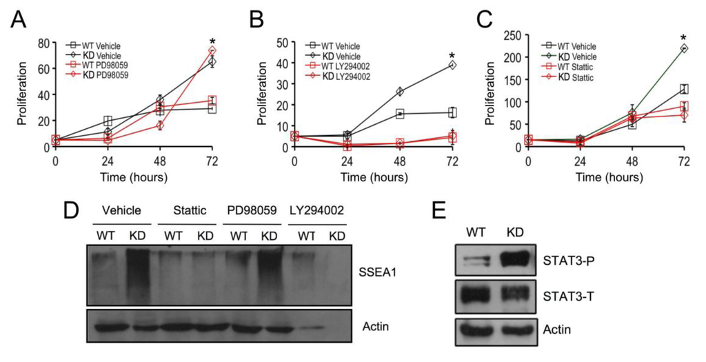 Biomolecules 03 00351 g003 1024