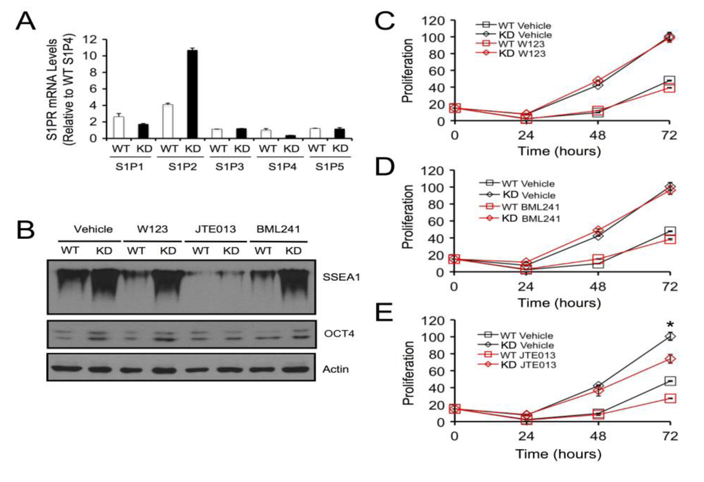 Biomolecules 03 00351 g004 1024
