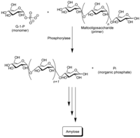Biomolecules 03 00369 g003 200