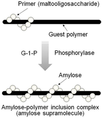 Biomolecules 03 00369 g004 200