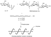 Biomolecules 03 00369 g005 200