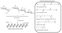 Biomolecules 03 00369 g007 200