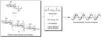 Biomolecules 03 00369 g009 200