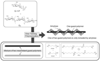 Biomolecules 03 00369 g010 200