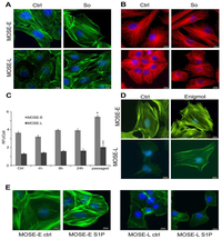 Biomolecules 03 00386 g001 200