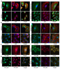 Biomolecules 03 00386 g003 200