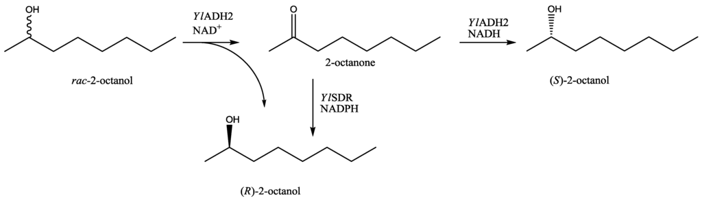 Biomolecules 03 00449 g004 1024