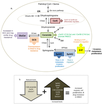 Biomolecules 03 00481 g002 200
