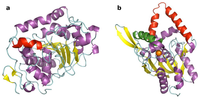 Biomolecules 03 00514 g001 200