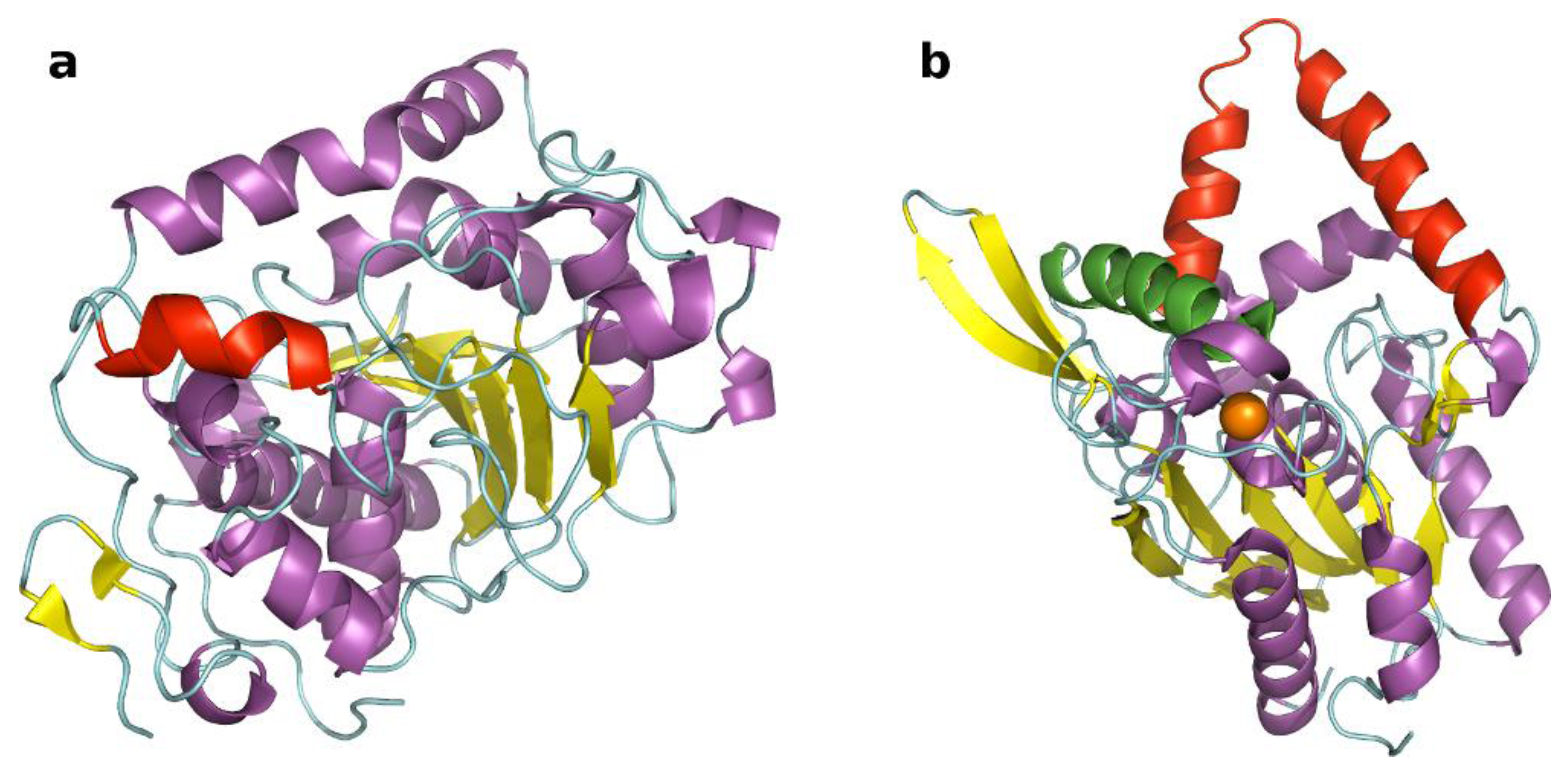 Biomolecules 03 00514 g001