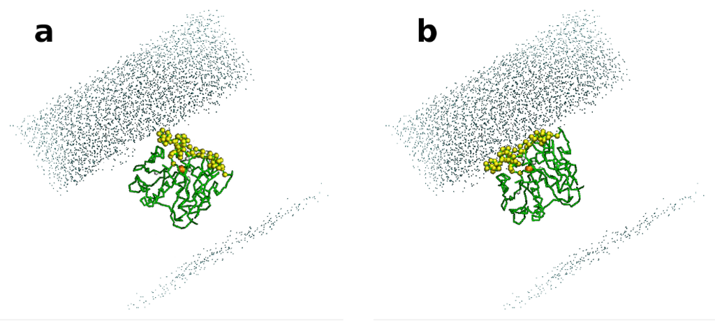 Biomolecules 03 00514 g003 1024