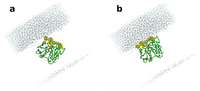Biomolecules 03 00514 g003 200