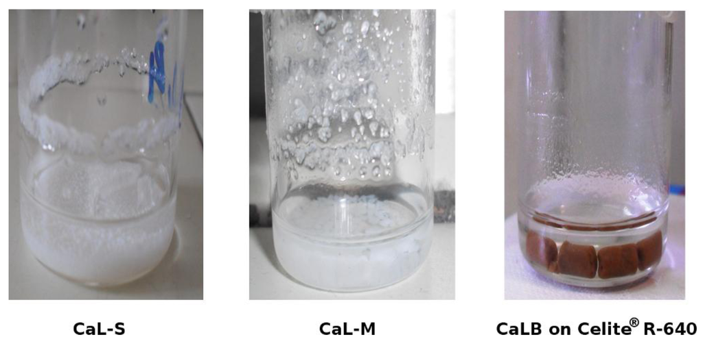 Biomolecules 03 00514 g006 1024