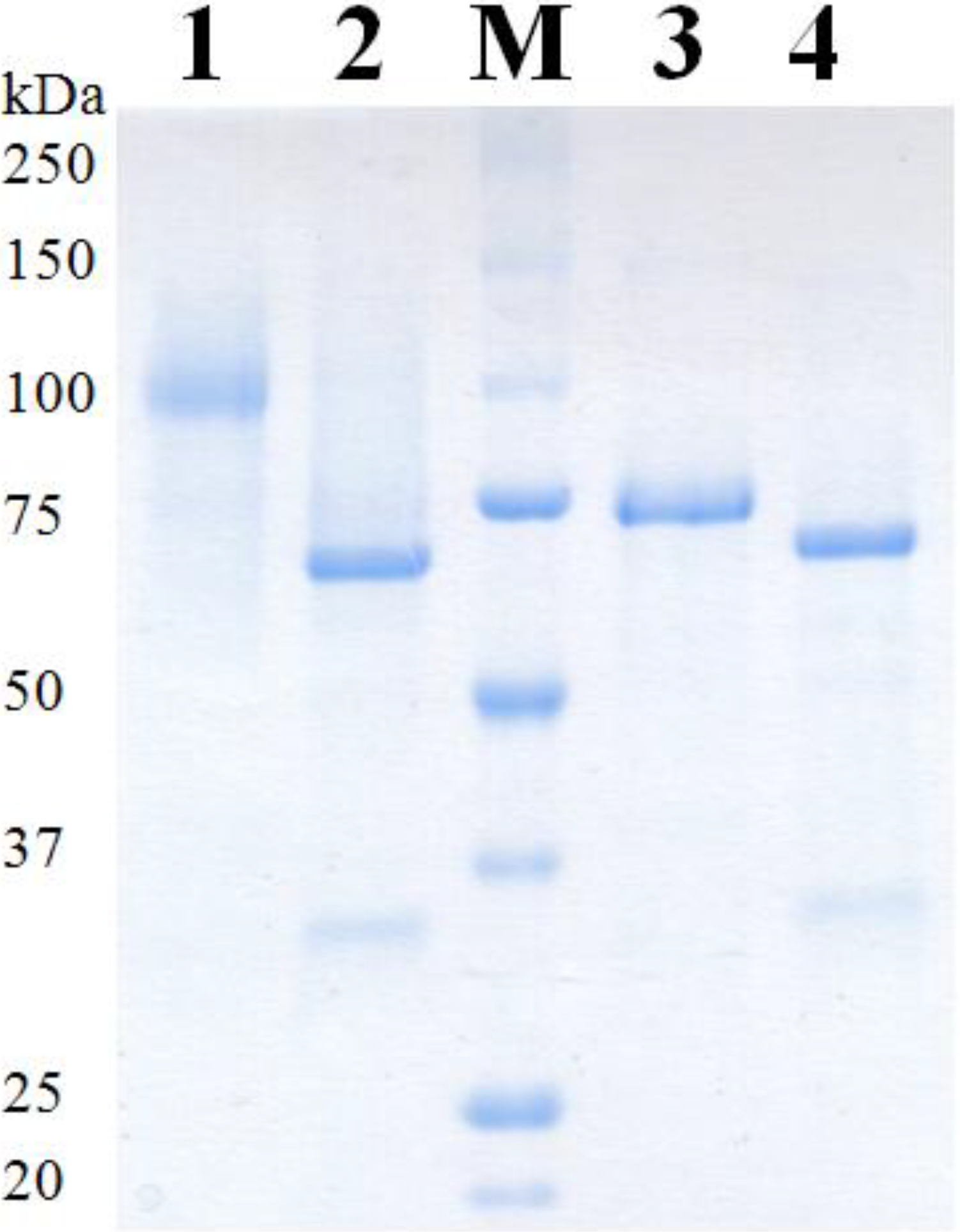 Biomolecules 03 00535 g002