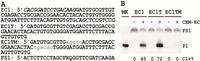 Biomolecules 03 00563 g001 200