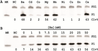 Biomolecules 03 00563 g003 200
