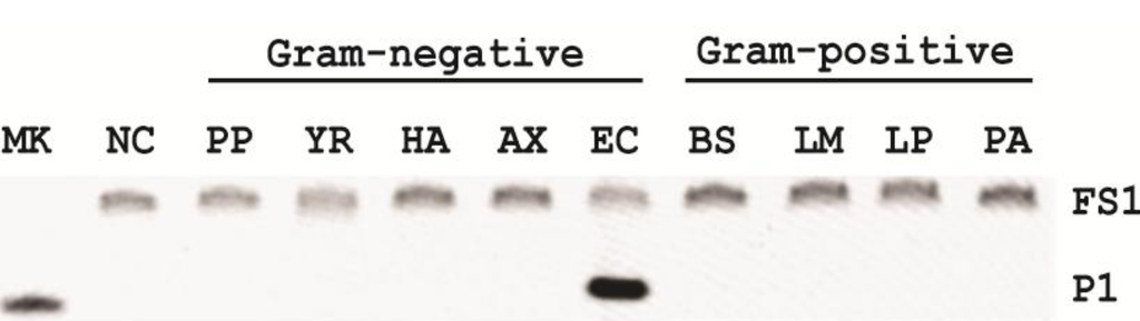 Biomolecules 03 00563 g005 1024