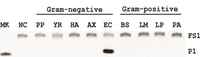 Biomolecules 03 00563 g005 200