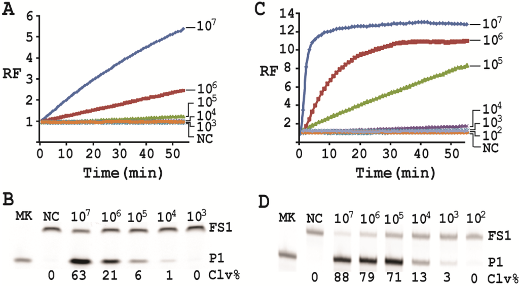 Biomolecules 03 00563 g006 1024