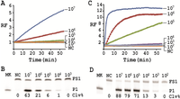 Biomolecules 03 00563 g006 200