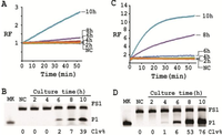 Biomolecules 03 00563 g007 200