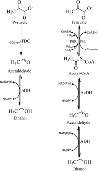 Biomolecules 03 00578 g001 200