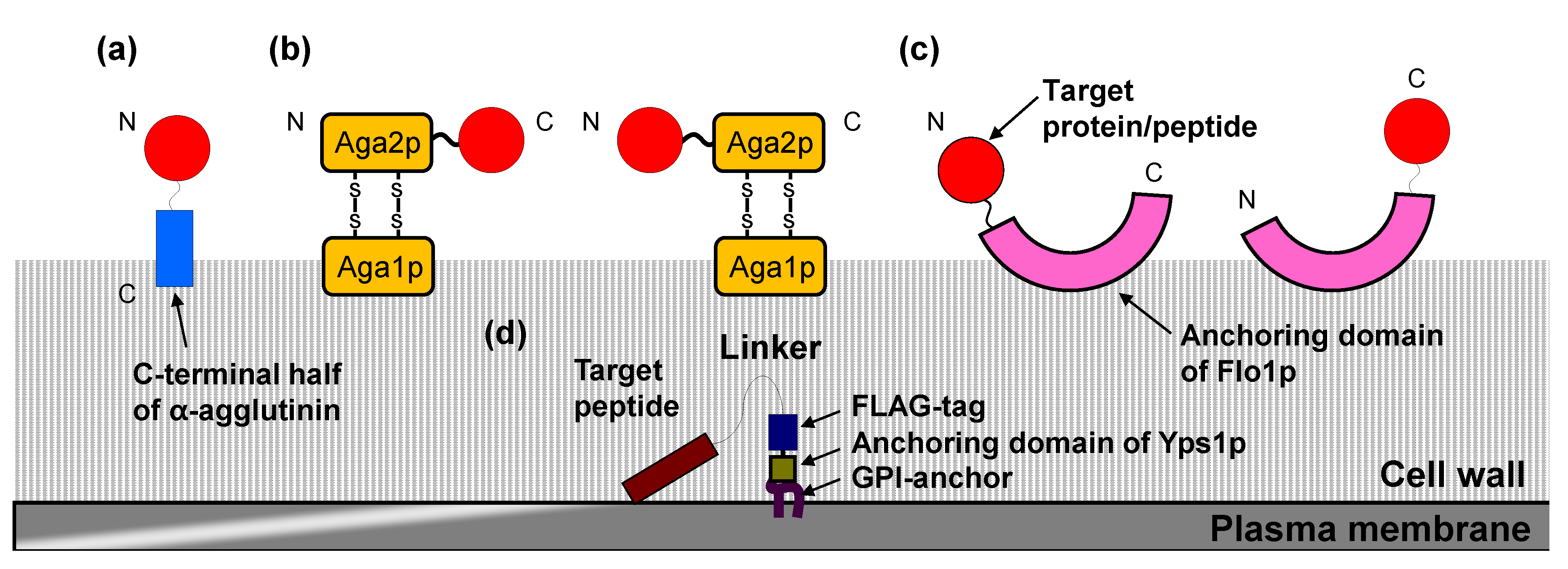 Biomolecules 03 00632 g001