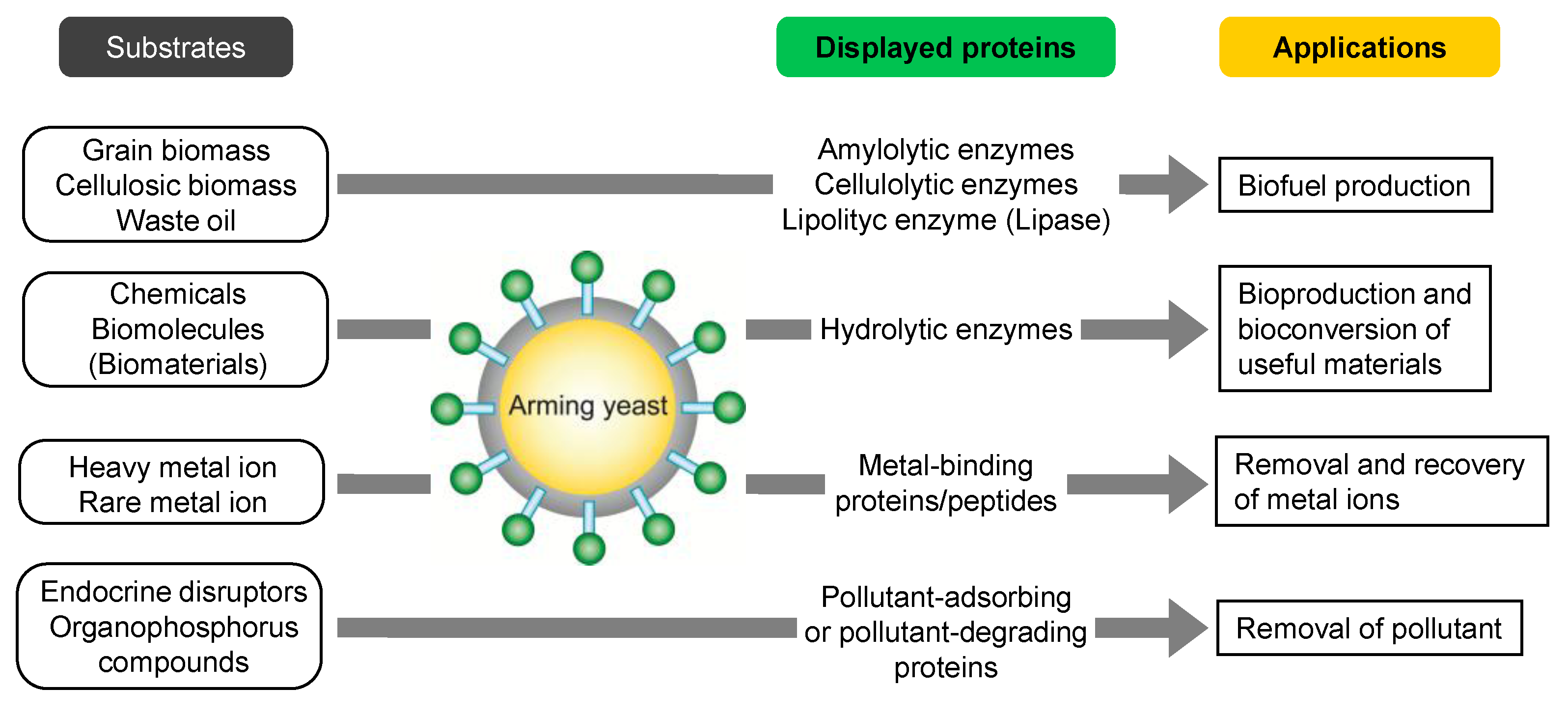 Biomolecules 03 00632 g002