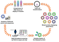 Biomolecules 03 00632 g003 200