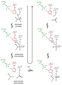 Biomolecules 03 00662 g002 200