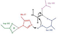 Biomolecules 03 00662 g003 200
