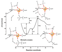 Biomolecules 03 00662 g006 200