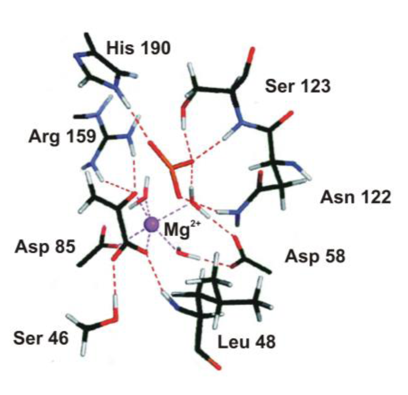 Biomolecules 03 00662 g007