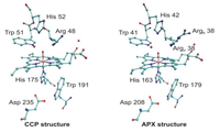 Biomolecules 03 00662 g009 200