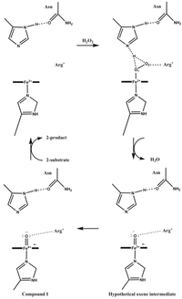 Biomolecules 03 00662 g010 200