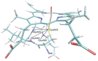Biomolecules 03 00662 g013 200