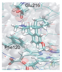 Biomolecules 03 00662 g016 200
