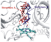 Biomolecules 03 00662 g017 200