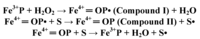 Biomolecules 03 00662 g021 200