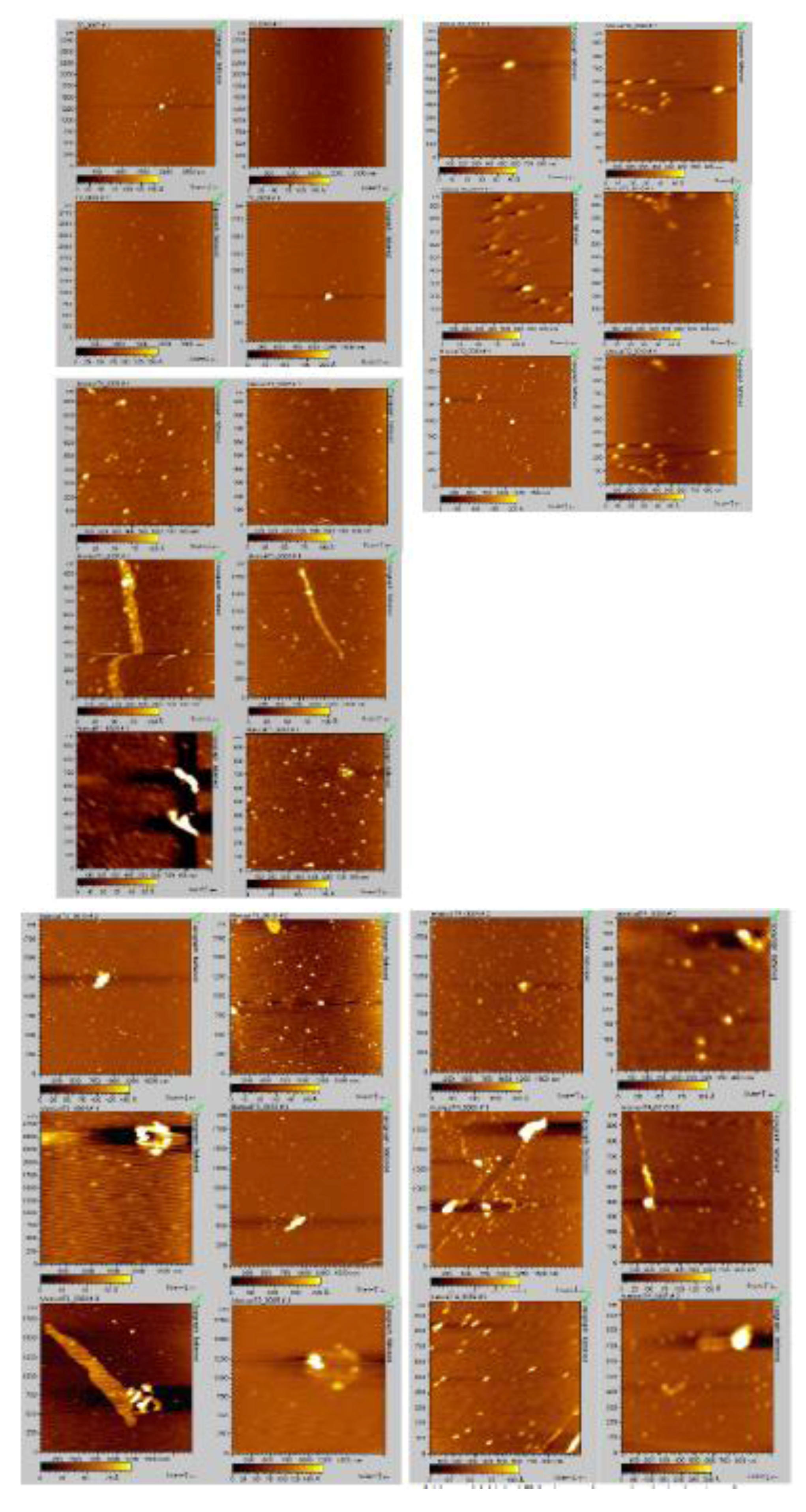 Biomolecules 03 00703 g008