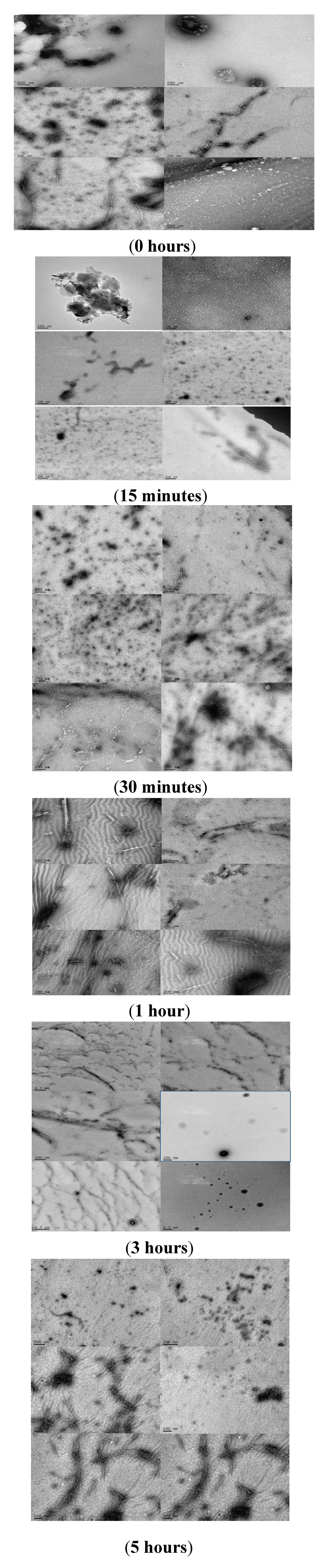 Biomolecules 03 00703 g009