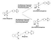 Biomolecules 03 00741 g001 200