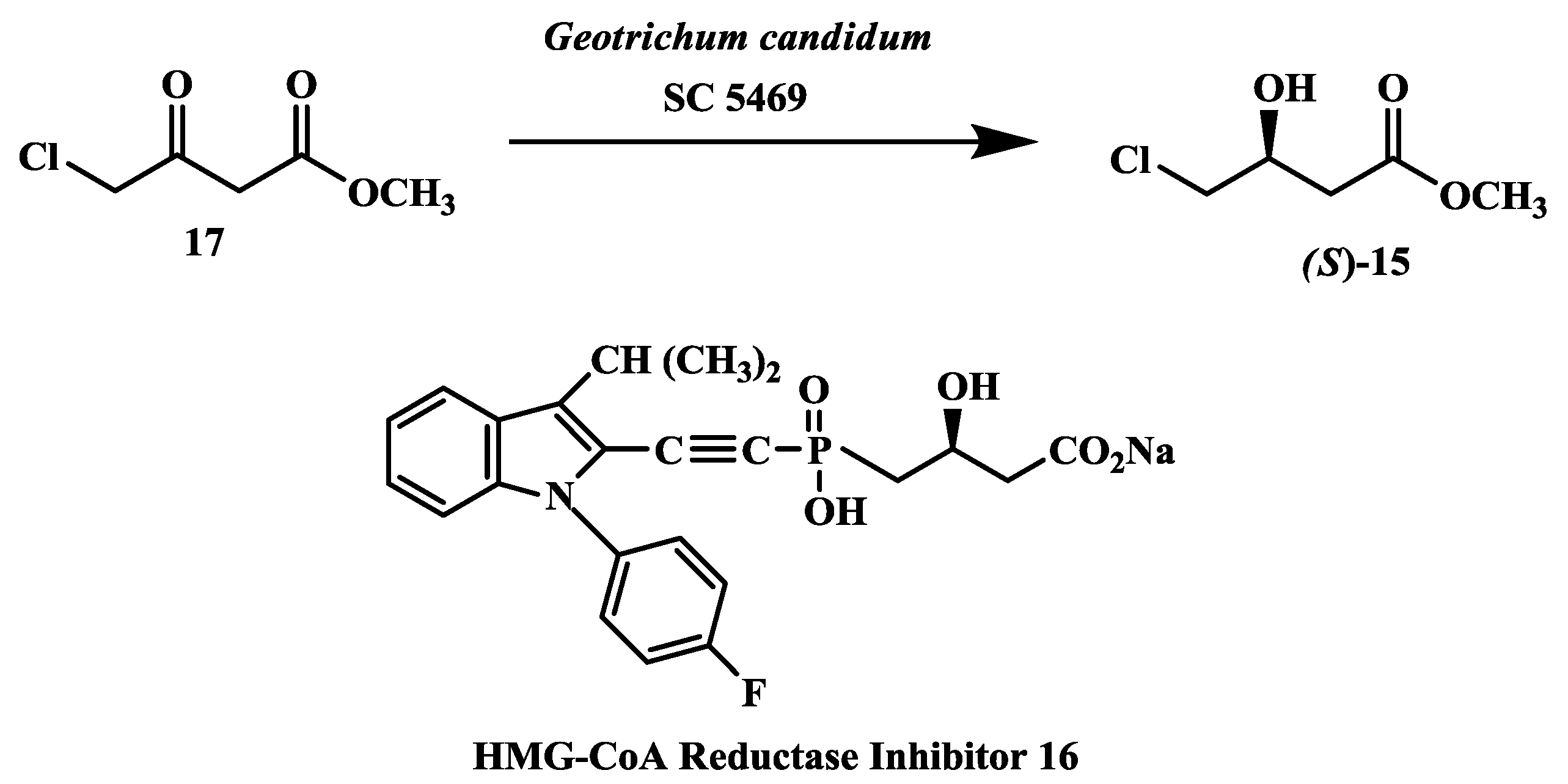Biomolecules 03 00741 g004