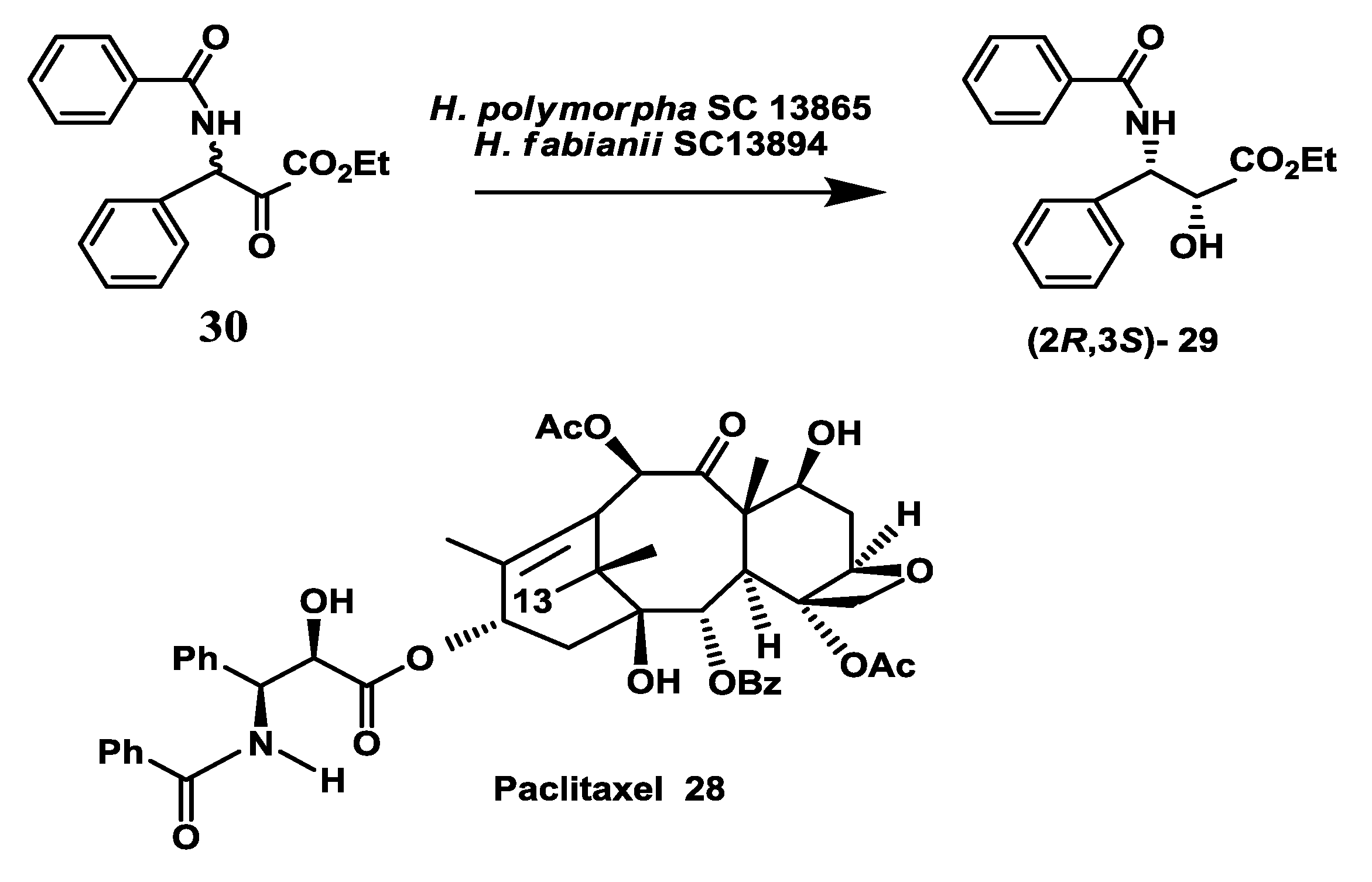 Biomolecules 03 00741 g008