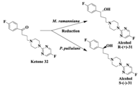Biomolecules 03 00741 g009 200